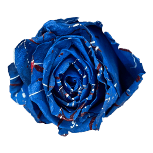 Tinted Rose – Natuflor