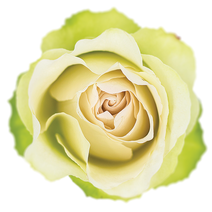Cava Natuflor